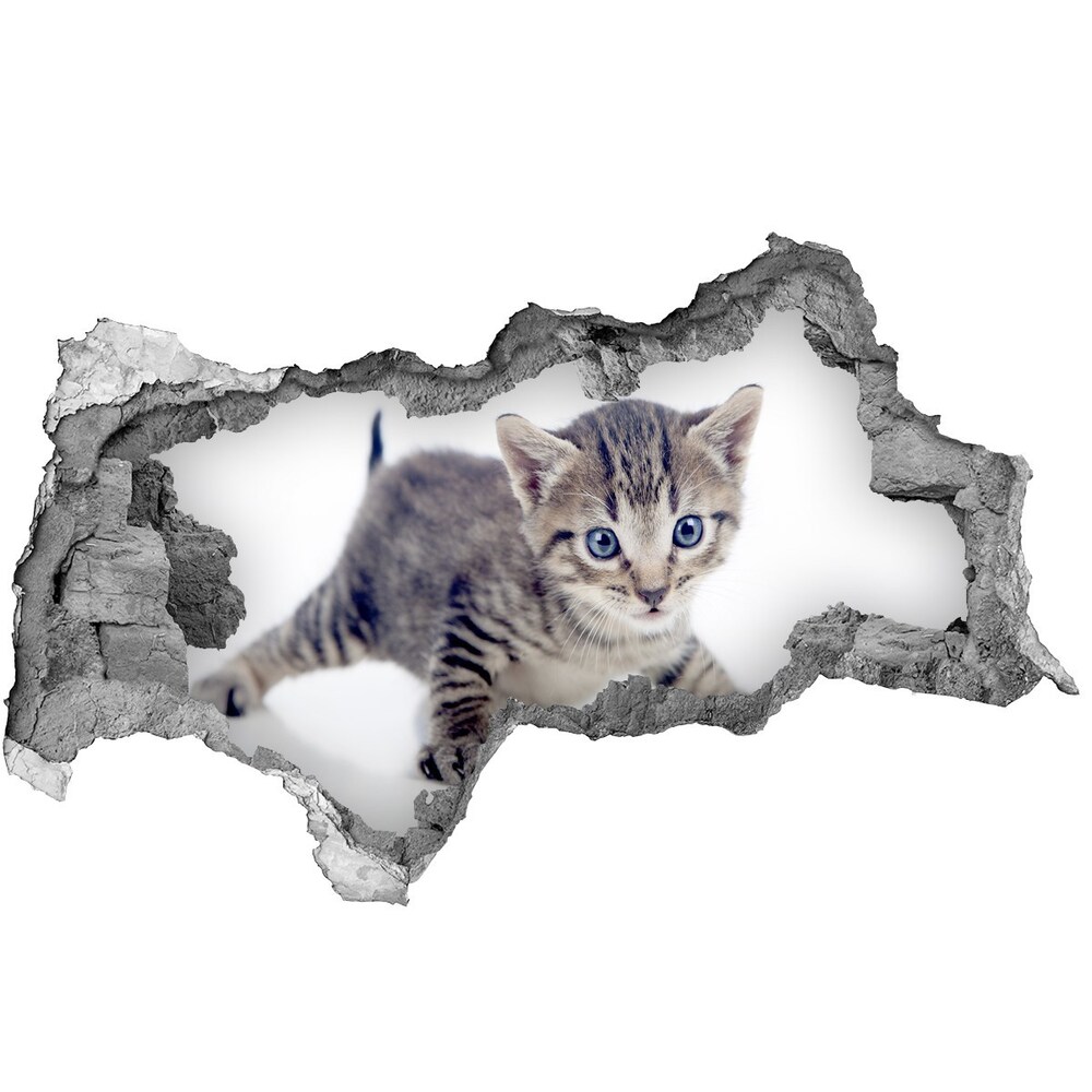Samolepiaca diera nálepka Malá mačka