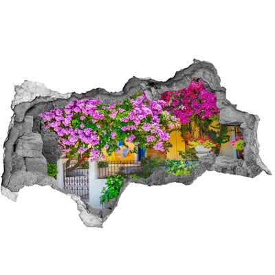 Fototapeta diera na stenu 3D Dom s popínavé rastliny