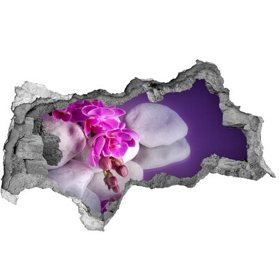 Fotoobraz diera na stenu Orchidey na pozadí kameňov