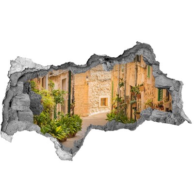 Fototapeta diera na stenu Očarujúca ulica v meste