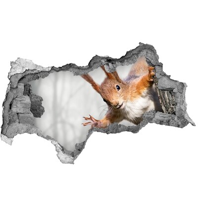 Nálepka fototapeta 3D na stenu Veverička v akcii