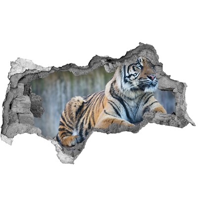 Nálepka 3D diera na stenu Tiger