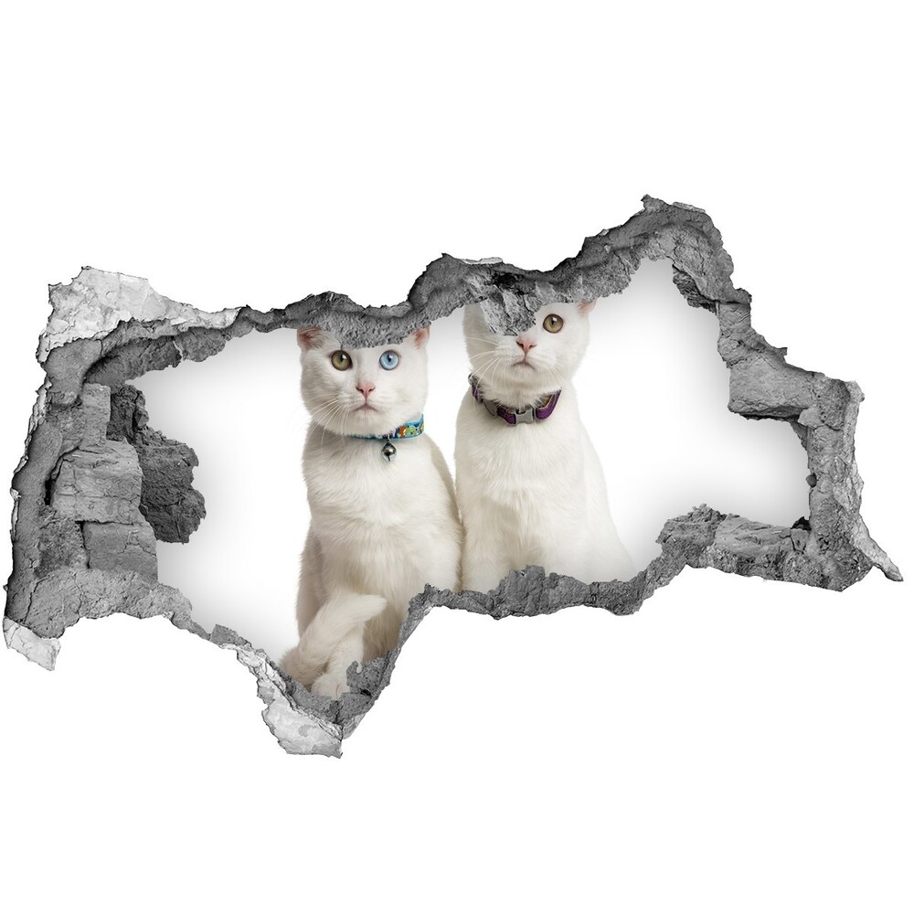 Nálepka fototapeta 3D na stenu Biele mačky