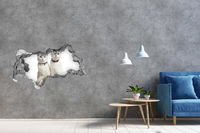 Nálepka fototapeta 3D na stenu Biele mačky