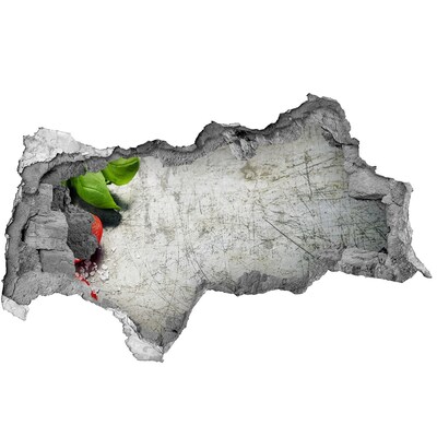 Fotoobraz diera na stenu Zrúcaný múr s výhľadom na oblohu