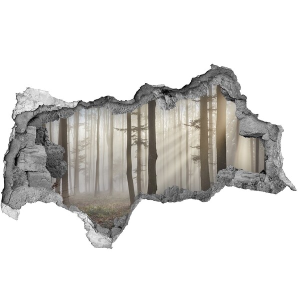Nálepka 3D diera samolepiaca Hmlistý les v rannom svetle