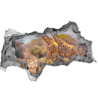 Diera 3D fototapeta nálepka Žirafy a zebry