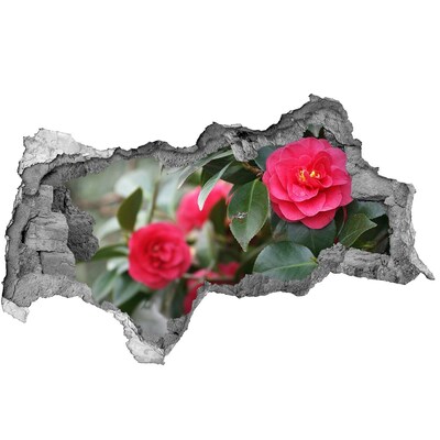 Samolepiaca diera na stenu Kvetinová záhrada z betónu