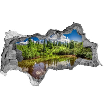 Nálepka 3D diera na stenu Jazero v lese