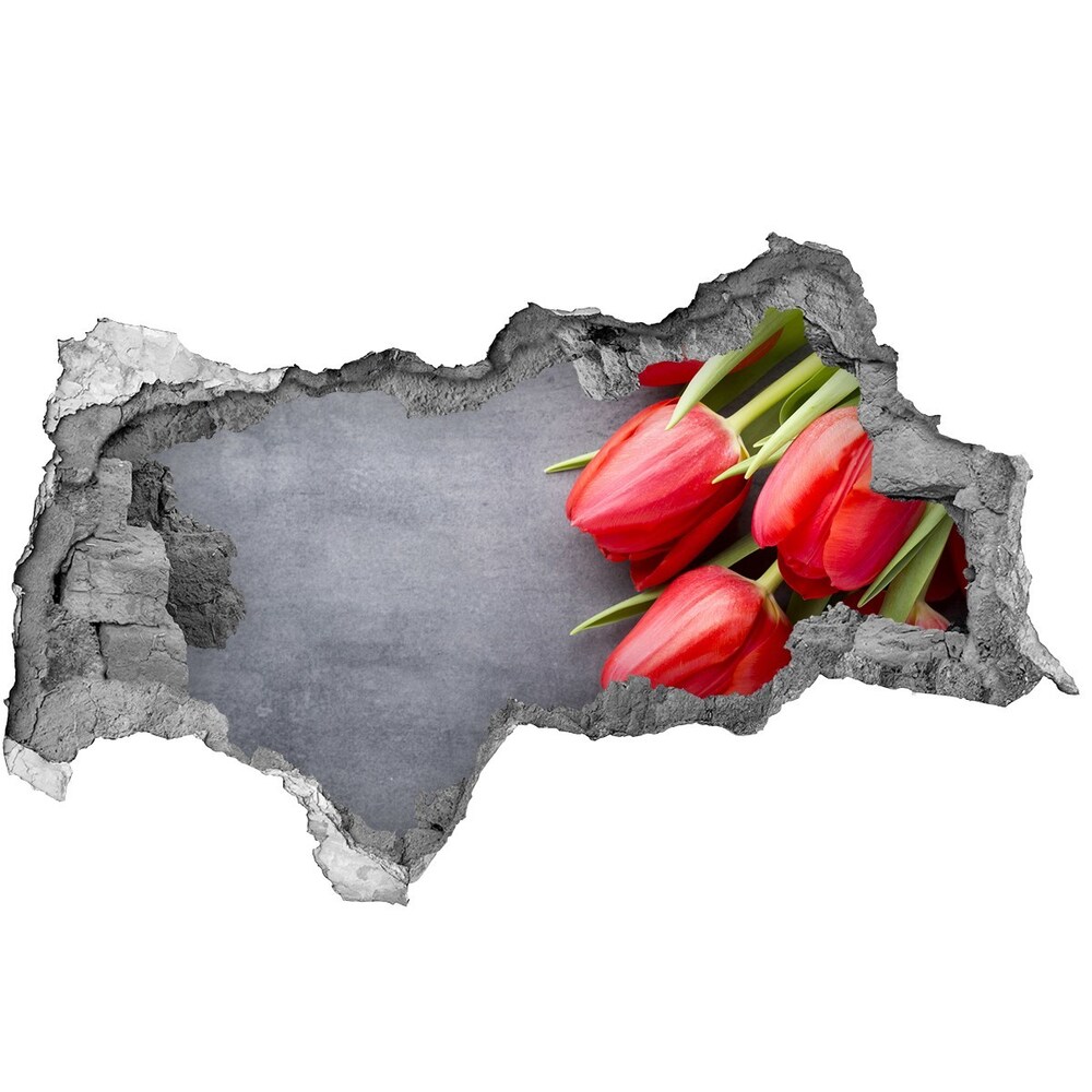 Samolepiaca diera na stenu Červené tulipány