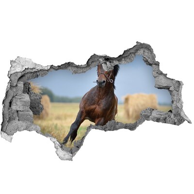 Nálepka 3D diera na stenu Cválajícím konoch