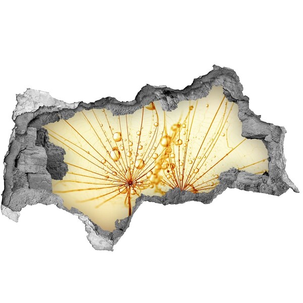 Diera 3D fototapeta nálepka Púpava semená