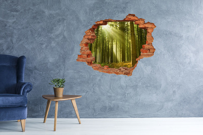 Fototapeta diera na stenu Borovica lesná