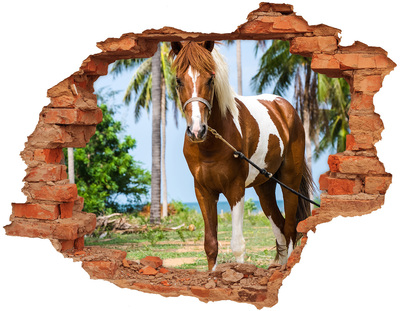 Diera 3D fototapeta na stenu Pinto kôň