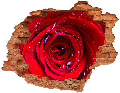 Samolepiaca diera na stenu Kvet ruže