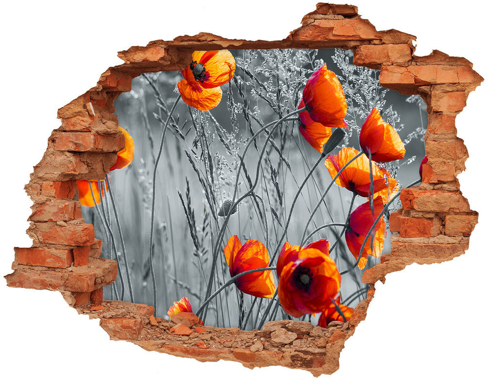 Samolepiaca diera múr 3D Kvety maku