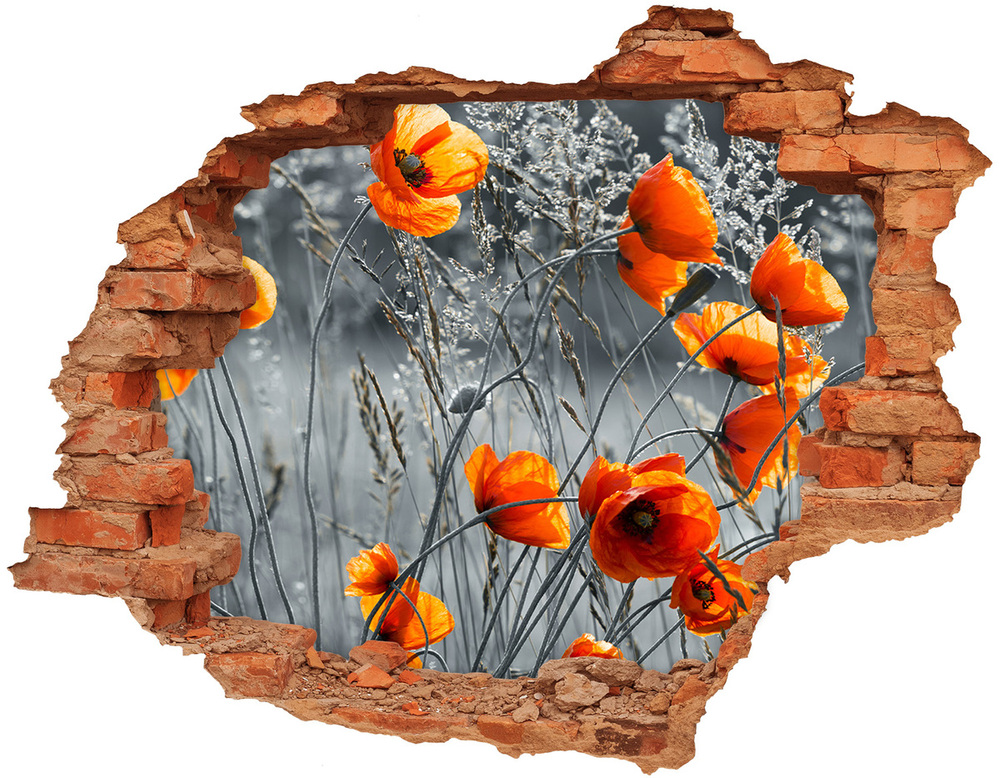 Samolepiaca diera múr Kvety maku