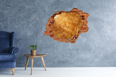 Nálepka fototapeta 3D Zlatá diera v stene