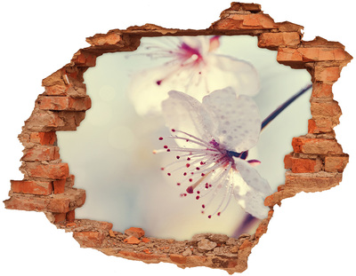 Samolepiaca diera nálepka Čerešňový kvet