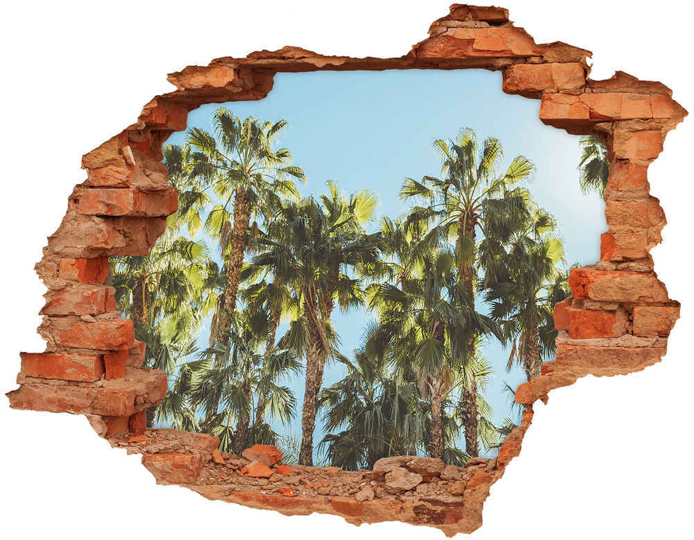 Samolepiaca diera na stenu Vysoké palmy
