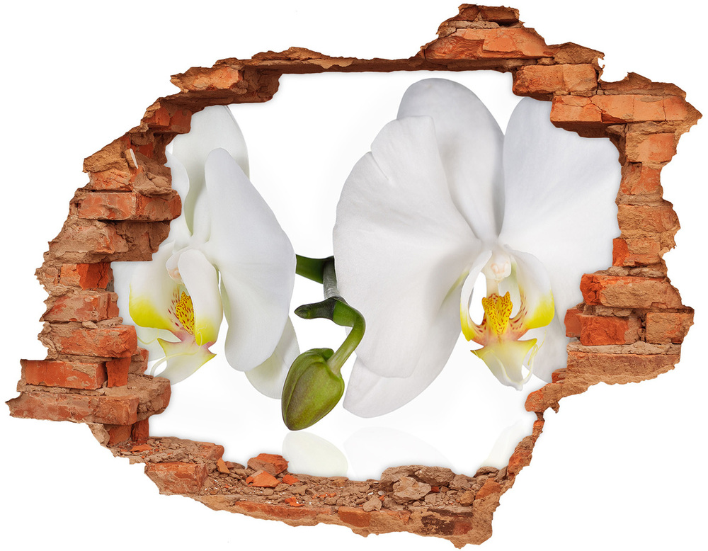 10D diera nálepka Orchidea