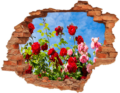 Samolepiaca diera na stenu Divoká ruža