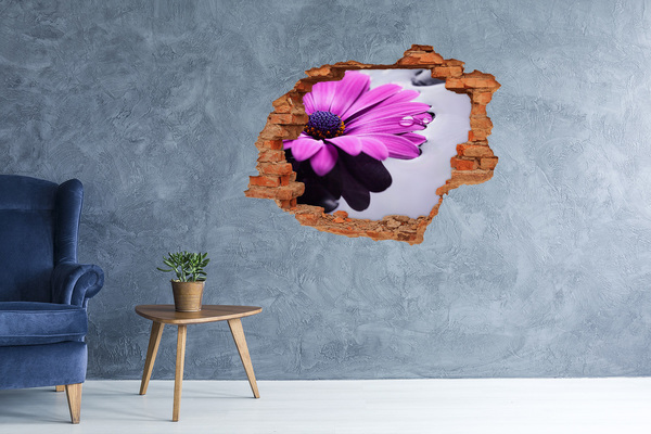 Diera 3D fototapeta na stenu Gerbera