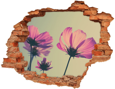 14D diera na stenu Ružové kvety