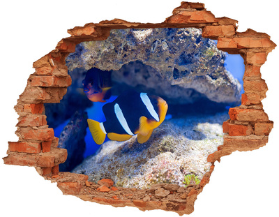 Fototapeta diera na stenu Tropická ryba