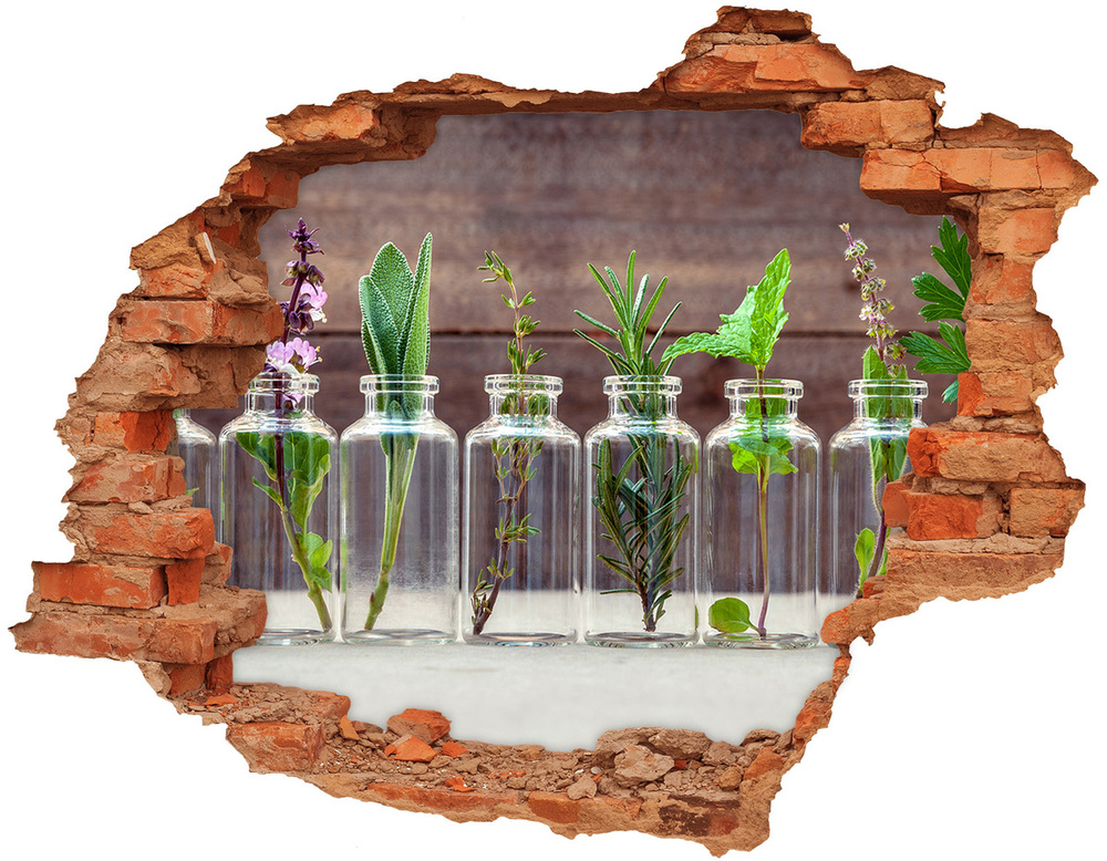 Fototapeta diera na stenu 3D Rastliny v nádobách