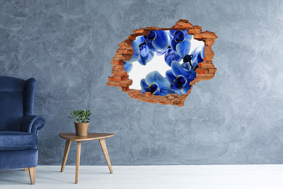 Fototapeta diera na stenu Modrá orchidea