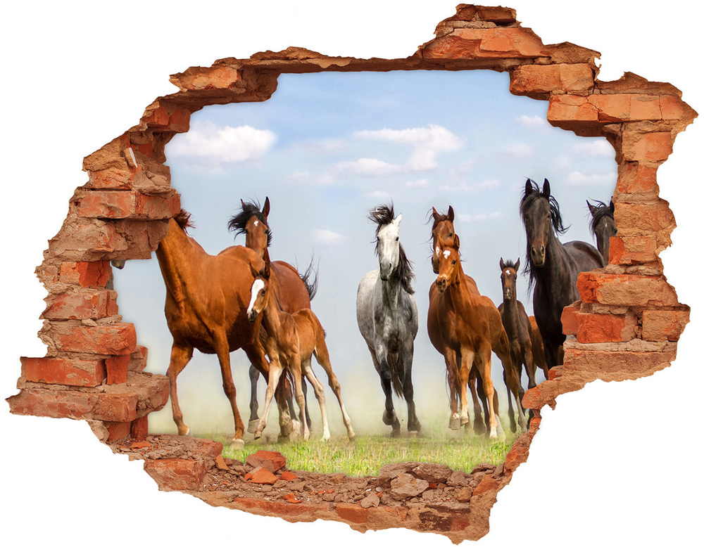 Nálepka 3D diera na stenu Cválajúca kone