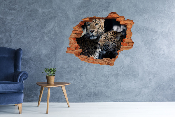 Fototapeta diera na stenu Dva leopardy