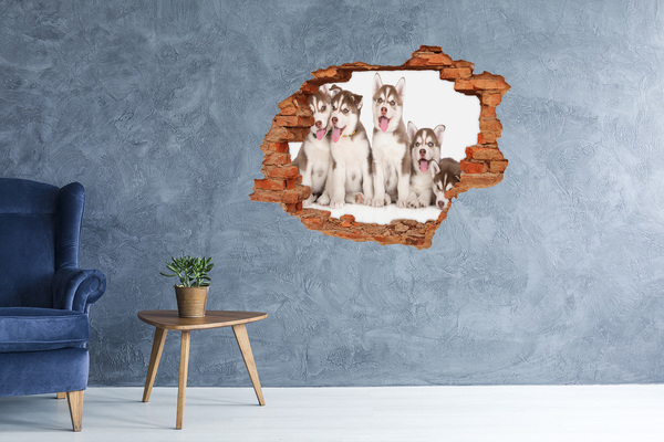 Diera 3D fototapeta nálepka Husky šteňatá