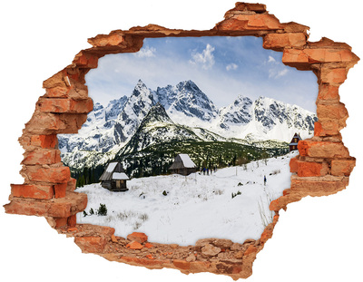 Fototapeta diera na stenu Hale tatry