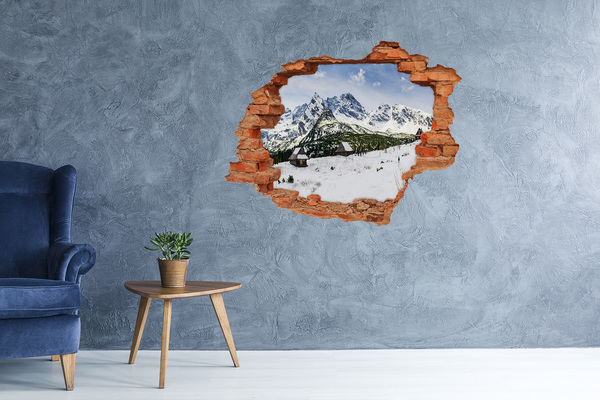 Fototapeta diera na stenu Hale tatry