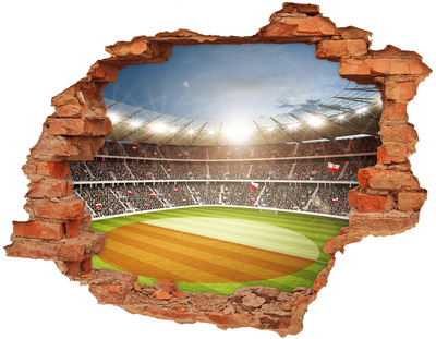 Fotoobraz diera na stenu Stadium poľsko