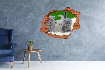 Diera 3D v stene nálepka Tri mačky na deke