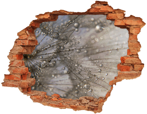 Fototapeta diera na stenu Kvapky vody na skle