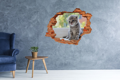 Diera 3D v stene na stenu Malá mačka na okne