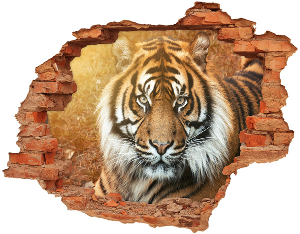 Fototapeta diera na stenu Tiger v diere v stene