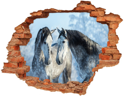 Fototapeta diera na stenu Gray kone v zime