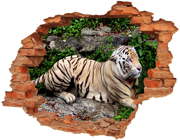 Fototapeta diera na stenu Tiger na skale