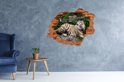 Fototapeta diera na stenu Tiger na skale