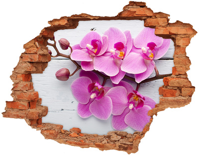 Samolepiaca diera na stenu Orchidea na dreve