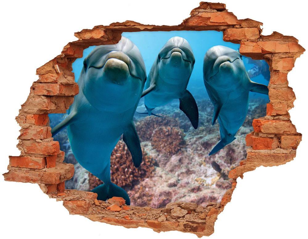 Fototapeta diera na stenu Delfíny