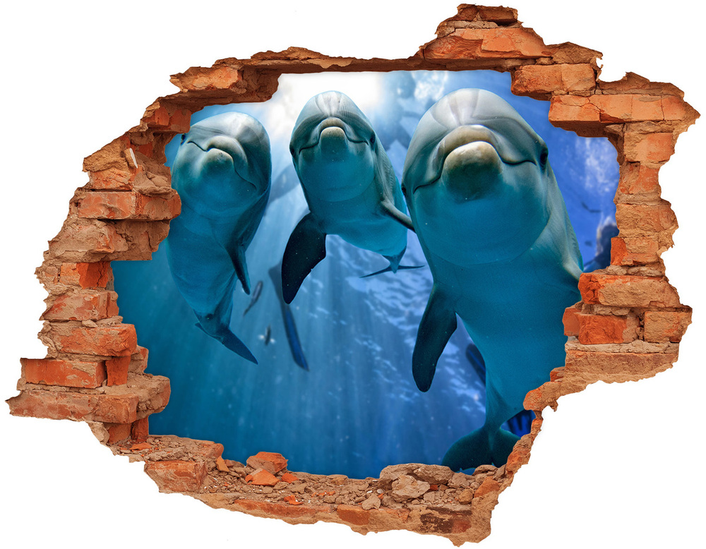 Nálepka 3D diera samolepiaca Tri delfíny