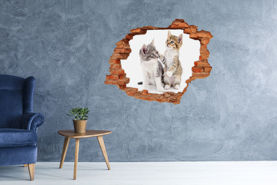 Foto fotografie diera na stenu Dve malé mačky