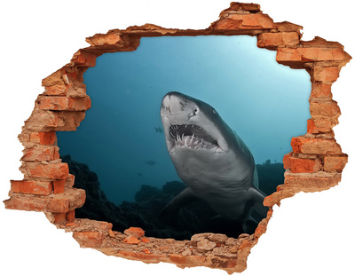 Fototapeta diera na stenu Veľký žralok