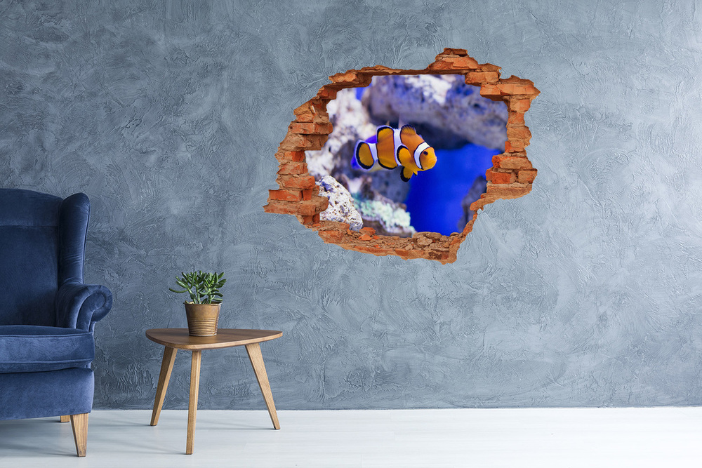 Fototapeta diera na stenu Klaun koralový útes